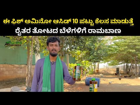 ಈ ಫಿಶ್ ಅಮಿನೋ ಆಸಿಡ್ 10 ಪಟ್ಟು ಕೆಲಸ ಮಾಡುತ್ತೆ, ರೈತರ ತೋಟದ ಬೆಳೆಗಳಿಗೆ ರಾಮಬಾಣ ,50% ಹೆಚ್ಚು ಇಳುವರಿ,