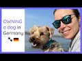 DOGS in Germany - 10 Things I did not know 🐶🐾