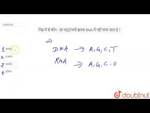 वीडियो: RNA में क्या नहीं पाया जाता है?