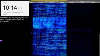 The Buzzer/UVB-76(4625Khz) September 17th 2020 10:13UTC Voice message