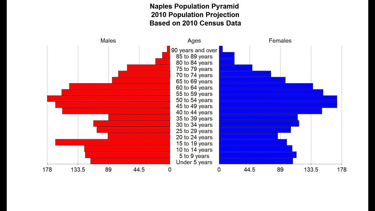 Cumberland County Population Pyramid YouTube