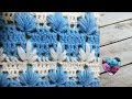 Point magnifique facile crochet / Punto maravilloso tejido a crochet