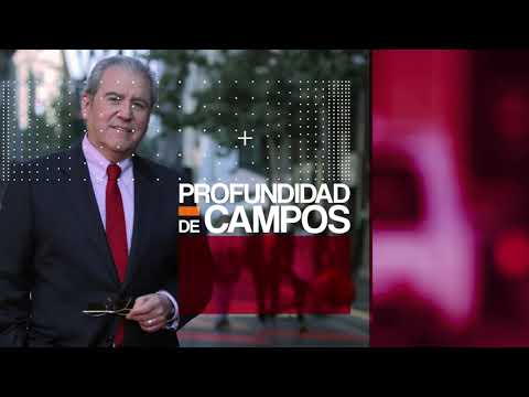 Profundidad de Campos - Senadora Carolina Goic