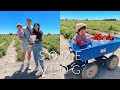 SomeVlog Ep.80｜Strawberry Picking🍓  Lack of Color &amp; Skincare Mini Haul 👒 日常媽媽包裝什麼？