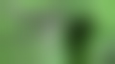 FUCK FUCK FUCK! [Amnesia Custom Story : Abduction Part 9 VOSTFR]