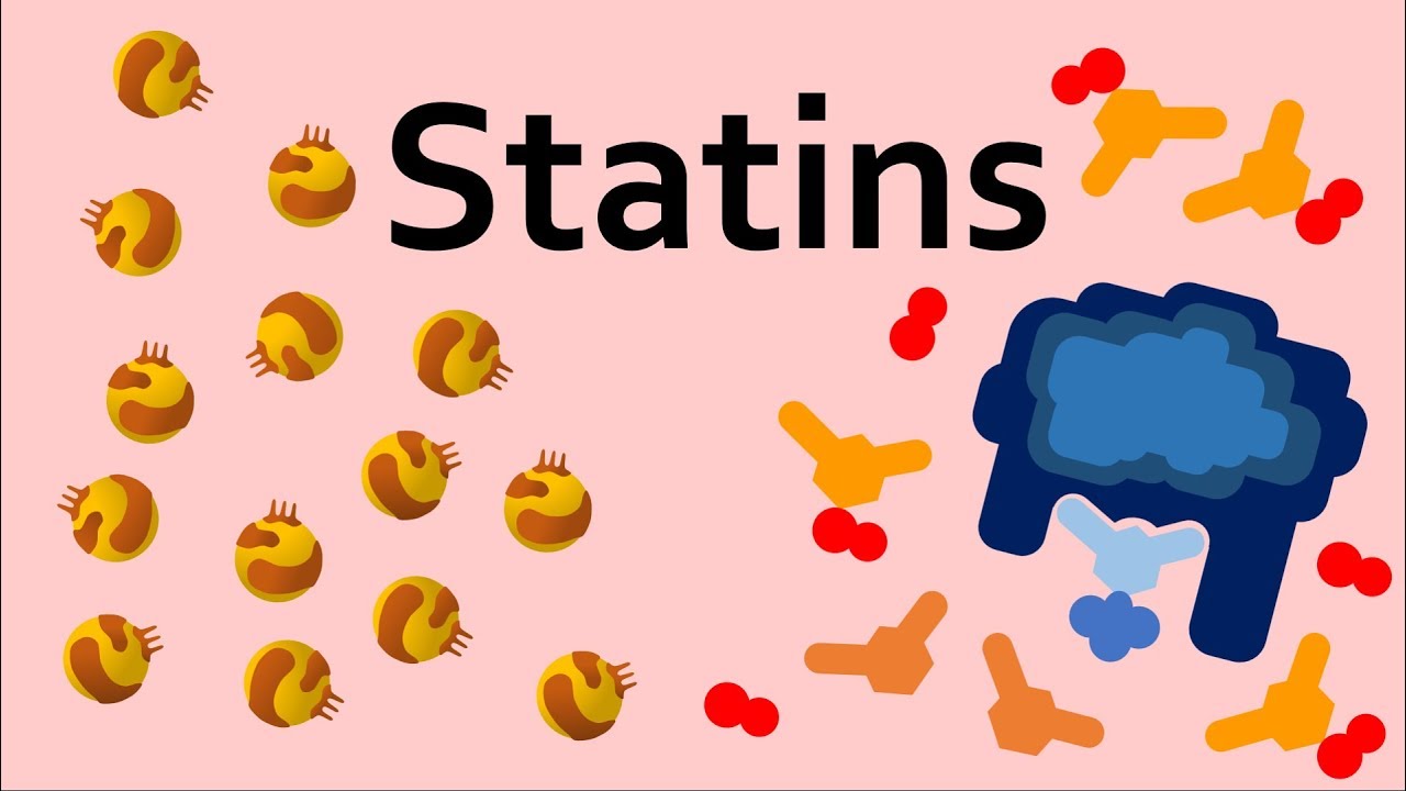 Statins and Cholesterol - YouTube