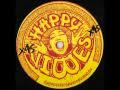 Happy tunes  i want you baby hvr003 a