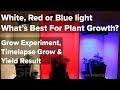 White, Red or Blue light for growing - The best colour for plant growth? Time lapse grow & yield