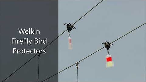 Welkin FireFly Bird Diverters: Perfect solution to avoid bird collision with power lines | Surat, IN