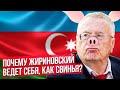 ЖИРИНОВСКАЯ СВИНЬЯ ЗАБЫЛА ПРО МАНЕРЫ