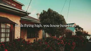 Nina Simone - Feeling Good (Lyrics)