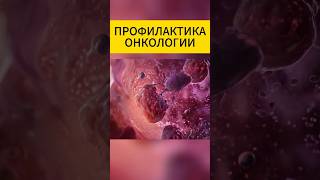 Продукты для укрепление иммунитета