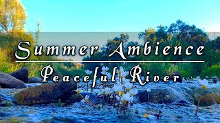 Peaceful River Flowing Sound & Birds Songs🌳Forest Bathing🌳🌿 Fresh Summer Ambience Meditation