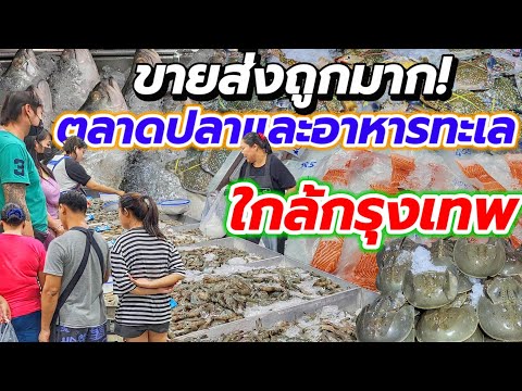 วีดีโอ: การเชื่อมต่อท่อ HDPE กับท่อโลหะ: คุณสมบัติ คำแนะนำและบทวิจารณ์ที่ใช้งานได้จริง