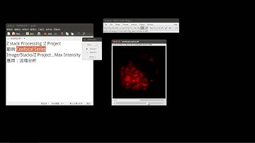 11 imagej的Z stack Processing:Z Project