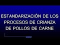 Estandarización de los Procesos de Crianza de Pollos de carne