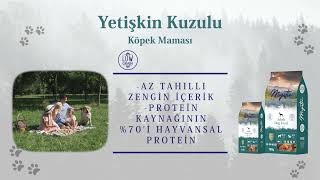 MAMALARIMIZI TANIYALIM! Mystic Kuzulu Pirinçli Yetişkin Köpek Maması