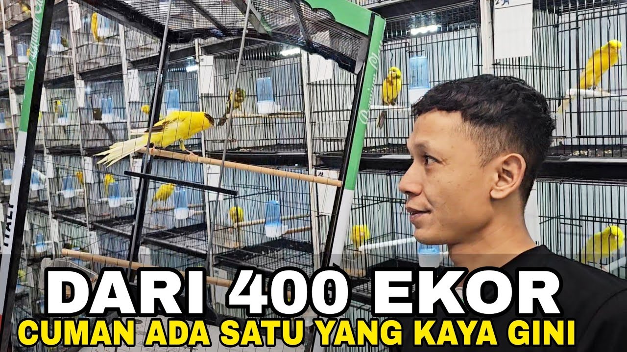 RASMI MURAH ADAKAH ⁉️ KITA COBA PANTAU GESSSS.....