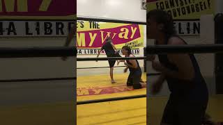 My Pro Wrestling Finisher (Japan Adventure 2024)