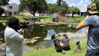 Day 64 - Hired to REMOVE the BIGGEST Iguana on the Lake! Iguana Dog CHALLENGE! Who catches more?