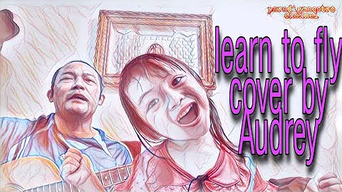 Learn to fly cover by Audrey