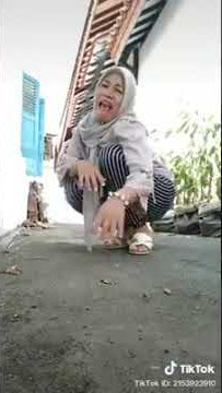 TIKTOK TANTE GENIT