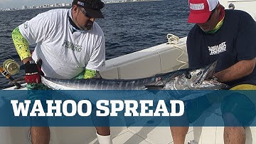High Speed Wahoo - Florida Sport Fishing TV - Lure Selection & Placement, Tackle & Rigging