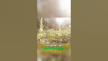 Embrace Change  Step by Step Guide to Overcoming Fear and Embracing Growth