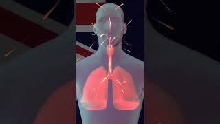 নবলইজশনর উপকরত ও অপকরত