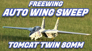 Freewing F-14 Tomcat Auto Wing Sweep Demo #rcplane #aviation #freewing #edfjet