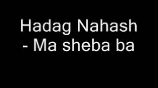 Video thumbnail of "Hadag Nahash - Ma sheba ba"