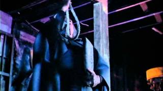 David Carradine hangs himself