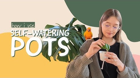 How I use self-watering pots