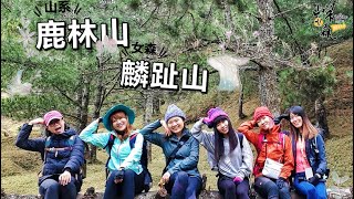 山系鹿林山麟趾山與玉山最近的距離親民路線Ft山系女森小魚兒の山林日誌一日行程