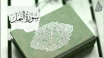 ترنم وأداء لا يوصف لسورة النمل كاملة | للقارئ الشيخ د محمد اللحيدان