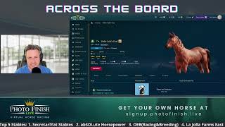 Across The Board - Breeding Strategies in Photo Finish Live screenshot 3