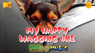 Happy Wagging One by RIBBY Trivia Music (Original Music & MTV)