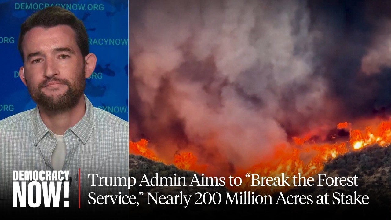 Trump Admin Aims to "Break the Forest Service," Nearly 200 Million Acres at Stake