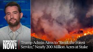 Trump Admin Aims To Break The Forest Service, Nearly 200 Million Acres At Stake