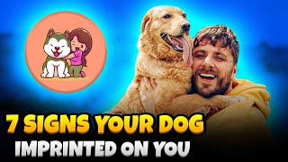 7 Signs Your Dog Has Imprinted on You: The Secret Language of Dogs
