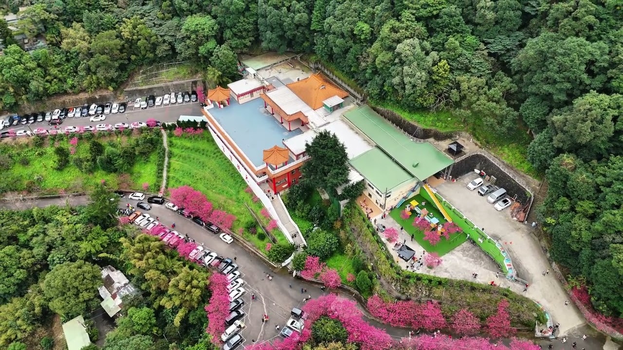 元德寶宮賞櫻、竹林山觀音廟