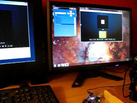 SkyNet Demo
