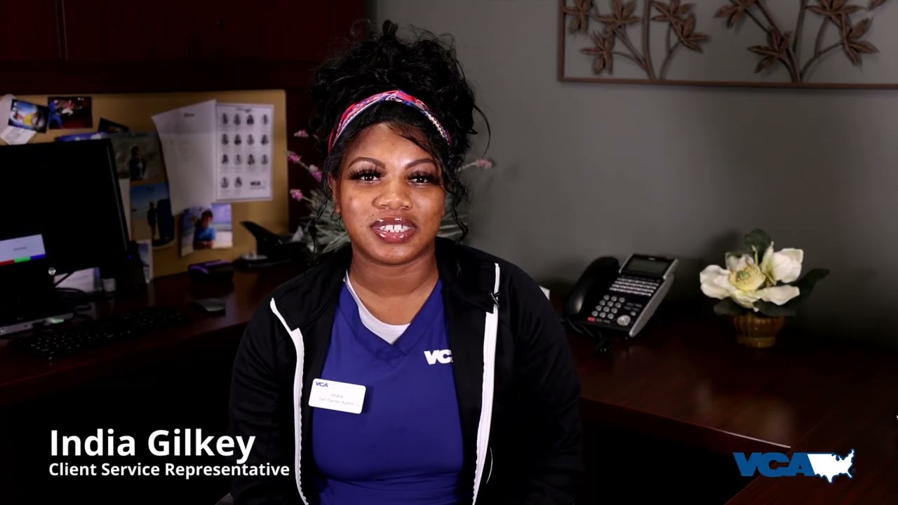 VCA West LA Recruitment Video YouTube