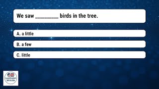 📚 Few, A Few, Little or A Little? | English Grammar Quiz to Master Quantifiers