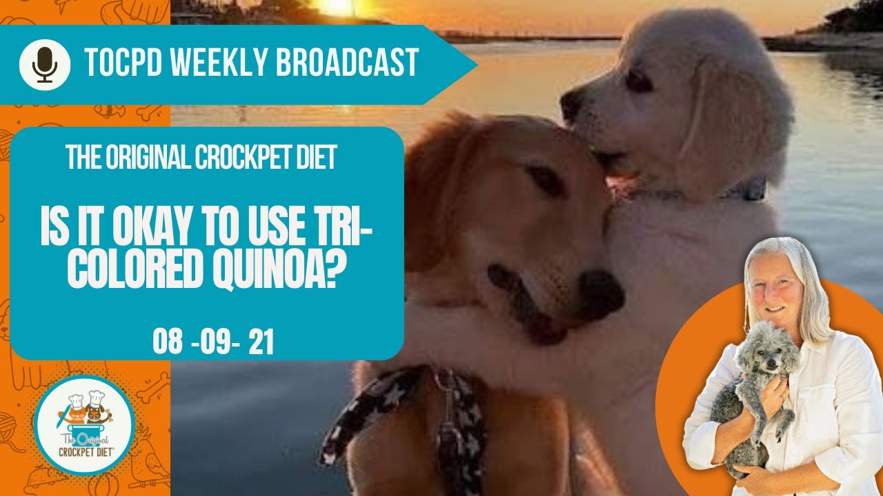 Is it okay to use tricolored quinoa? TOCPD 080921 YouTube