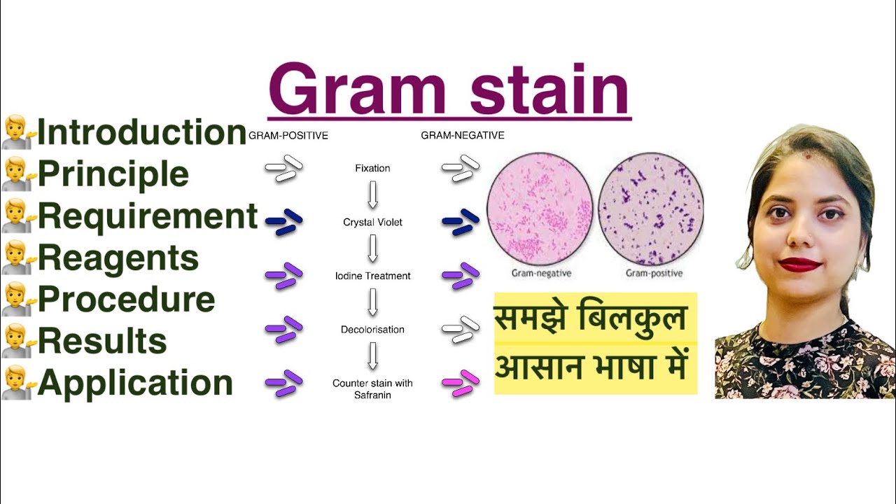 Gram Stain in Hindi | Gram -ve & Gram +ve bacteria | Microbiology |MLT