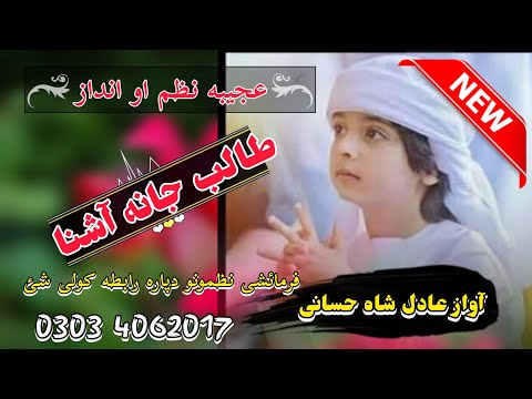 طالب جانه آشنا نوے پشتو نظم Pashto New Supper Hit Kalam 2024