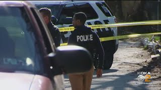 Police: Jitney Driver Shot And Killed Robber In Duquesne