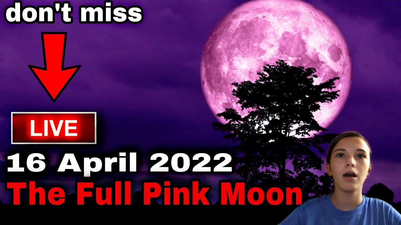 [Live] 16 April 2022 full Pink Moon ! The Super Pink Moon live 2022 ! Full Moon in Libra. April Moon