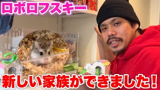 ハムスターの家族 ハムスターファミリー / ファミリーセット - シルバニアファミリー